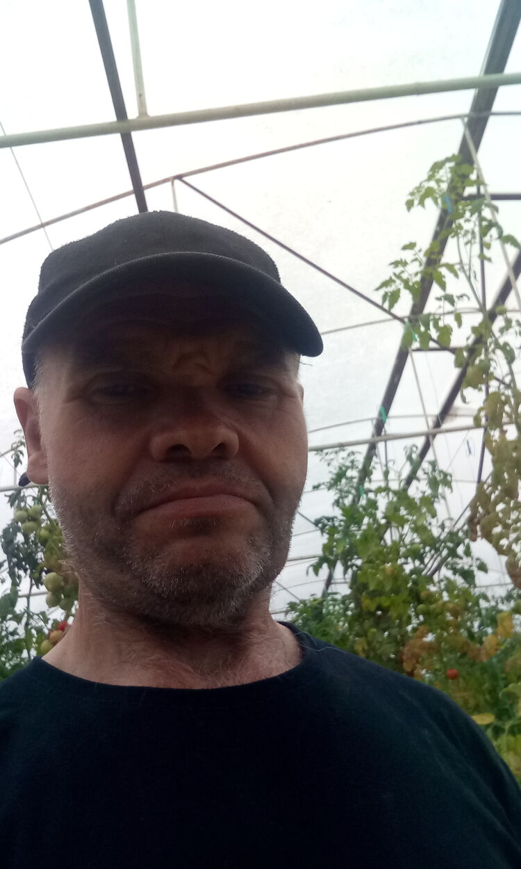 ���� 43257277 ������� ����, 50 ���, ���� ���������� � ������