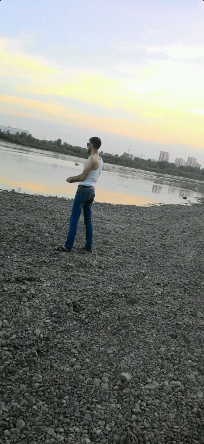 36333737  , 33 ,     