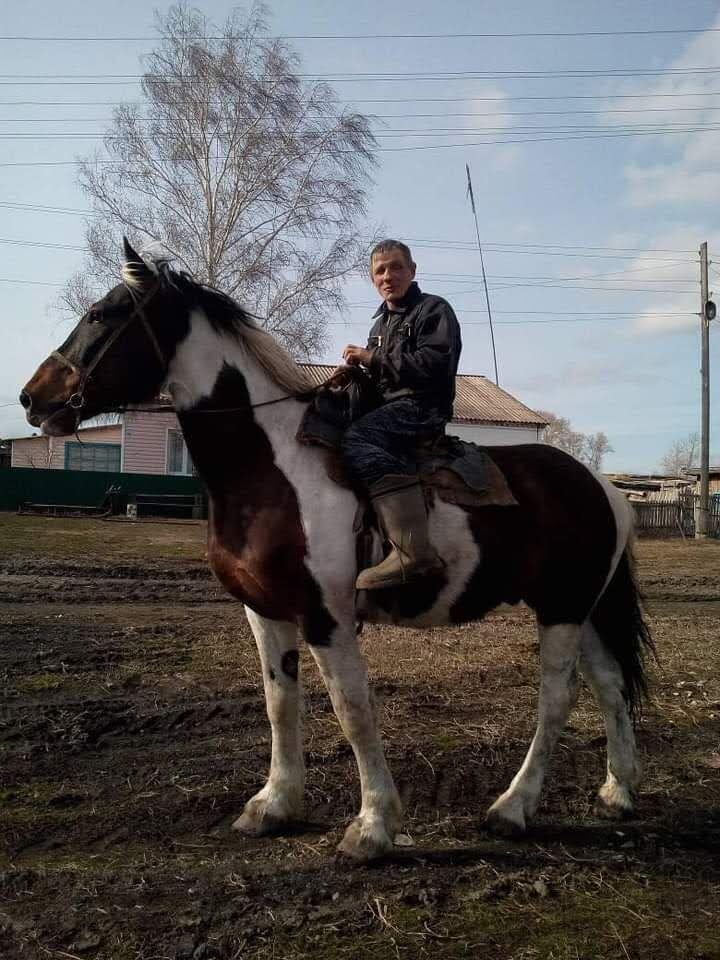 47913867  , 46 ,    