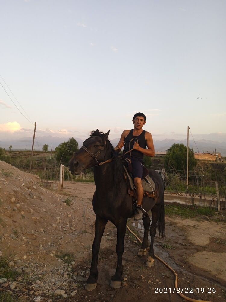 ���������� ������, ���� ������� ABDUROHMAN, 42 ����, ������������ ��� ������, ����� � ���������