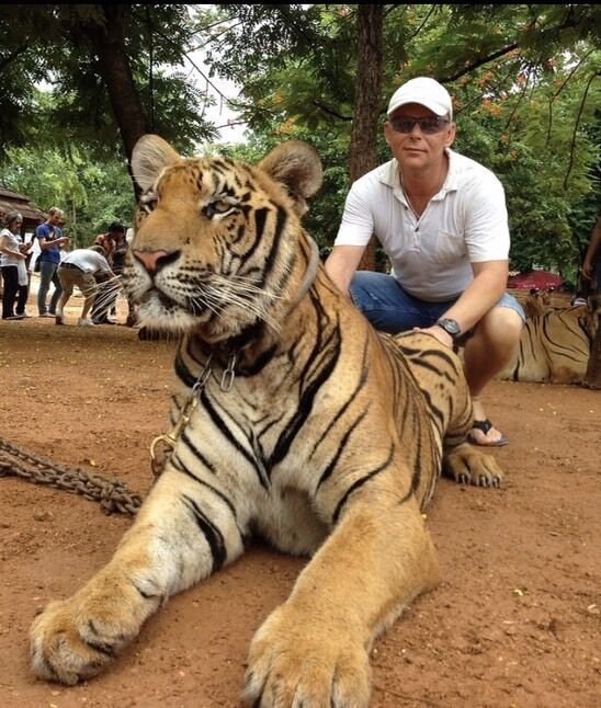 ���������� ������, ���� ������� ������, 50 ���, ������������ ��� ������, ����� � ���������