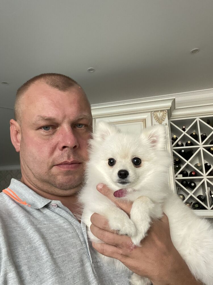  54145437  , 45 ,    -