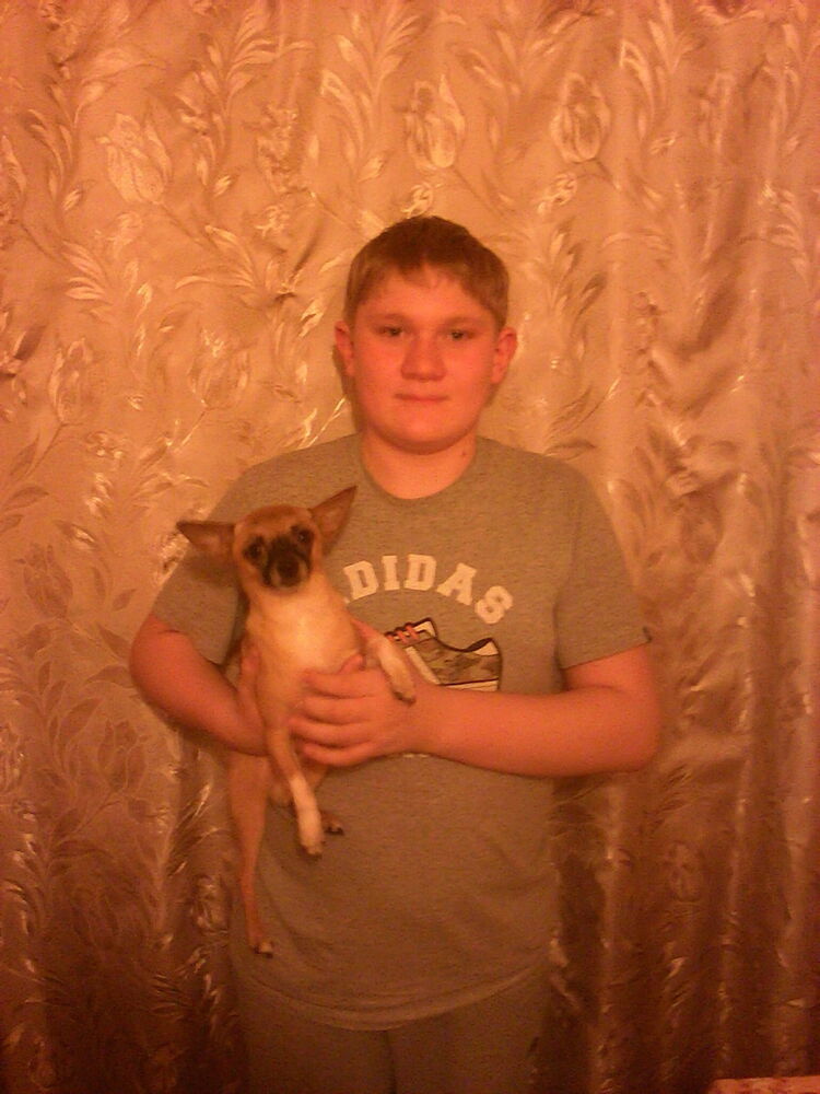 ���������� �������, ���� ������� �����, 29 ���, ������������ ��� ������, ����� � ���������, c�������� ���������