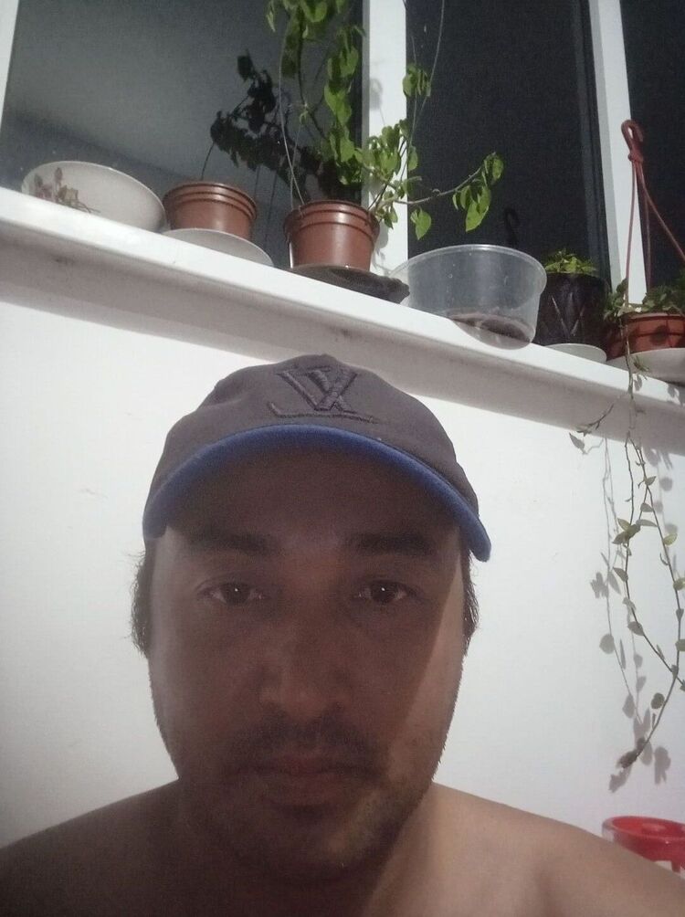  44120417  , 40 ,    