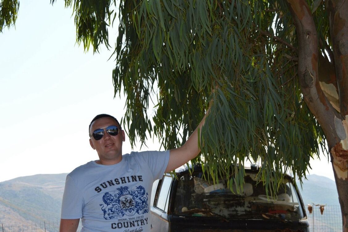  9505477  , 41 ,    -