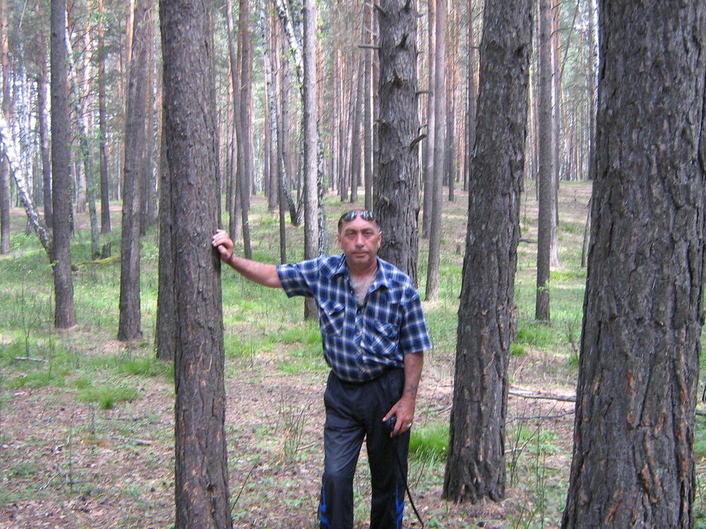 ���� 8852247 ������� ����������, 67 ���, ���� ���������� � ���