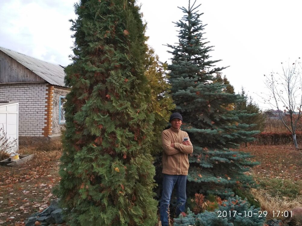  ,   , 55 ,   