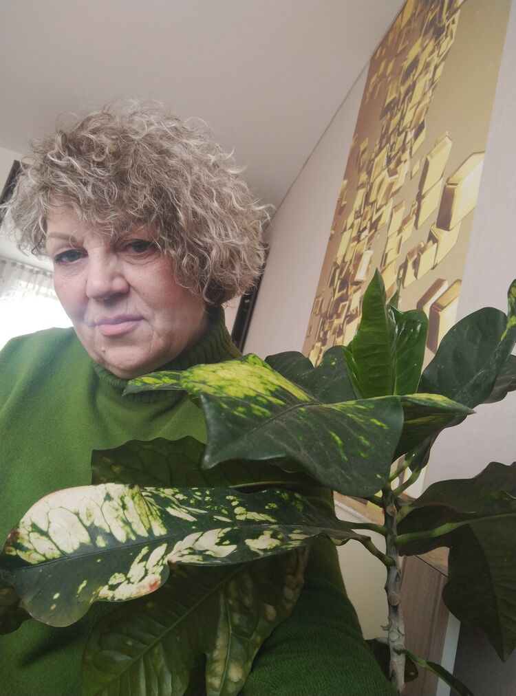 ���������� ���������, ���� ������� ��������, 61 ���, ������������ ��� ������, ����� � ���������