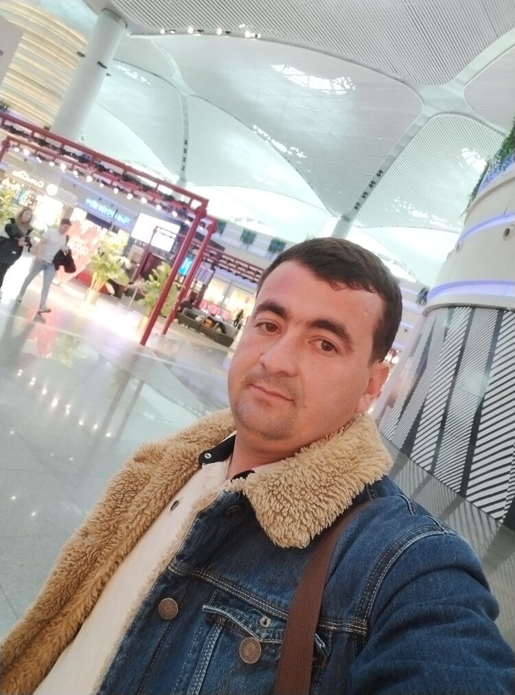  44120677  , 31 ,     