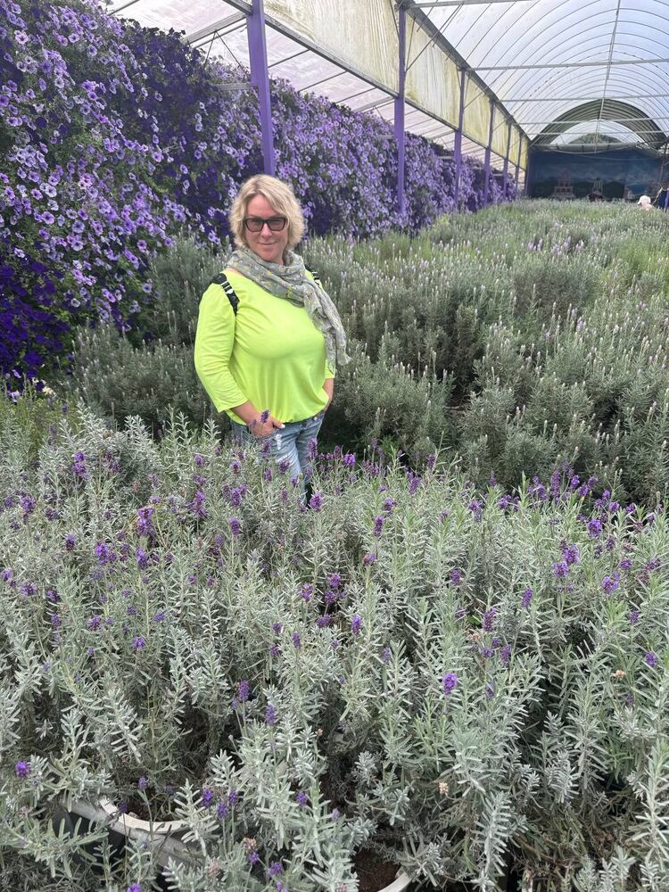 ���������� �����-���������, ���� ������� ����, 52 ����, ������������ ��� ������, ����� � ���������, c�������� ���������