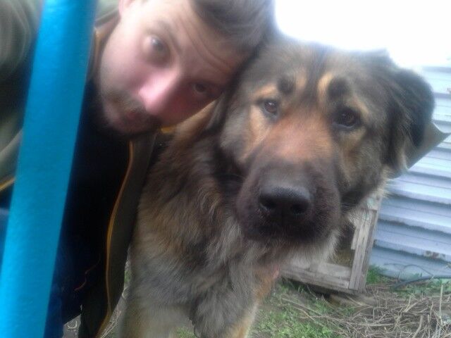 ���� 8406657 ������� �������, 40 ���, ���� ���������� � ������