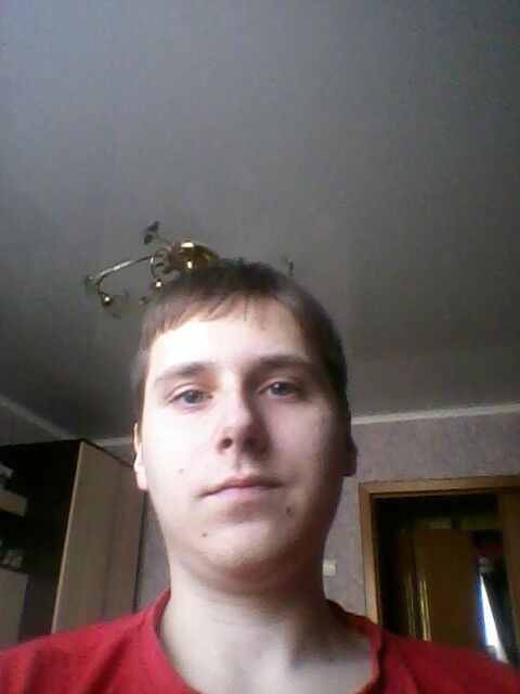  8327397  , 29 ,    --