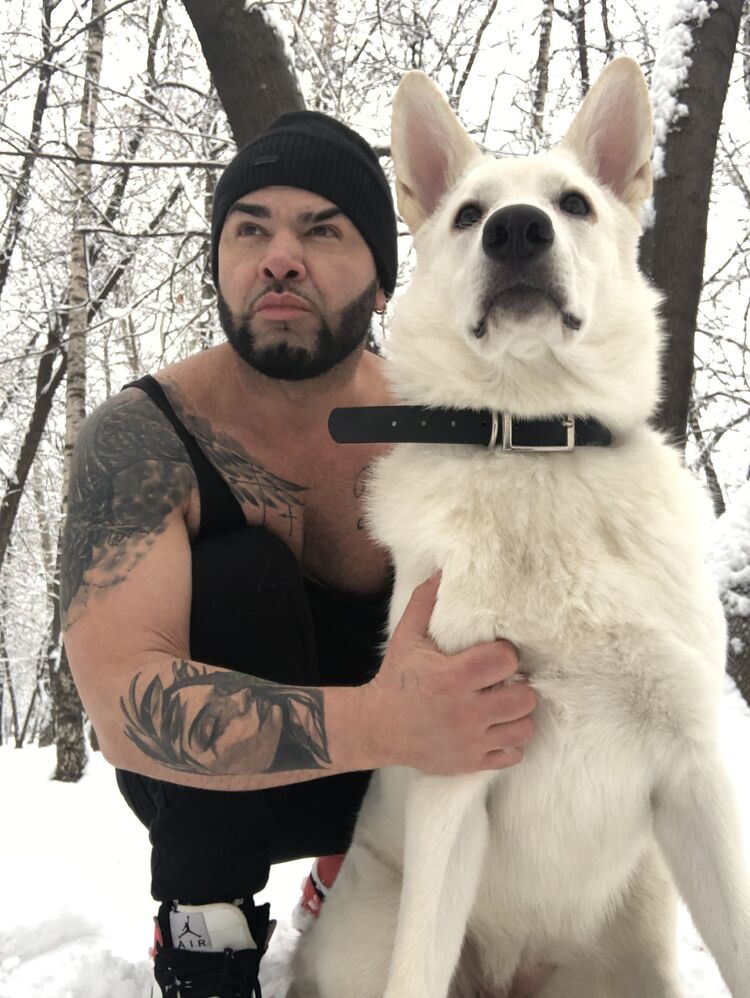 ���� 31203267 ������� Gessly, 38 ���, ���� ���������� � ������