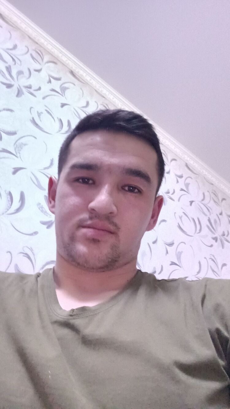  33723337  , 31 ,     