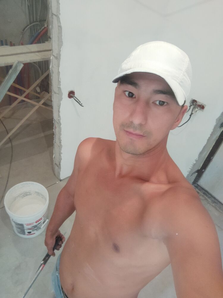  29532677  , 31 ,    