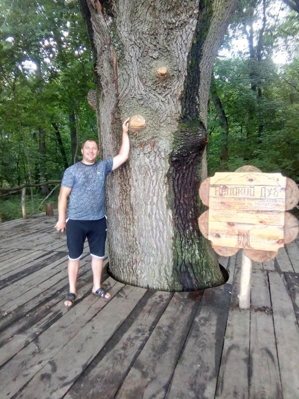 ���������� �������, ���� ������� ���������, 38 ���, ������������ ��� ������, ���������