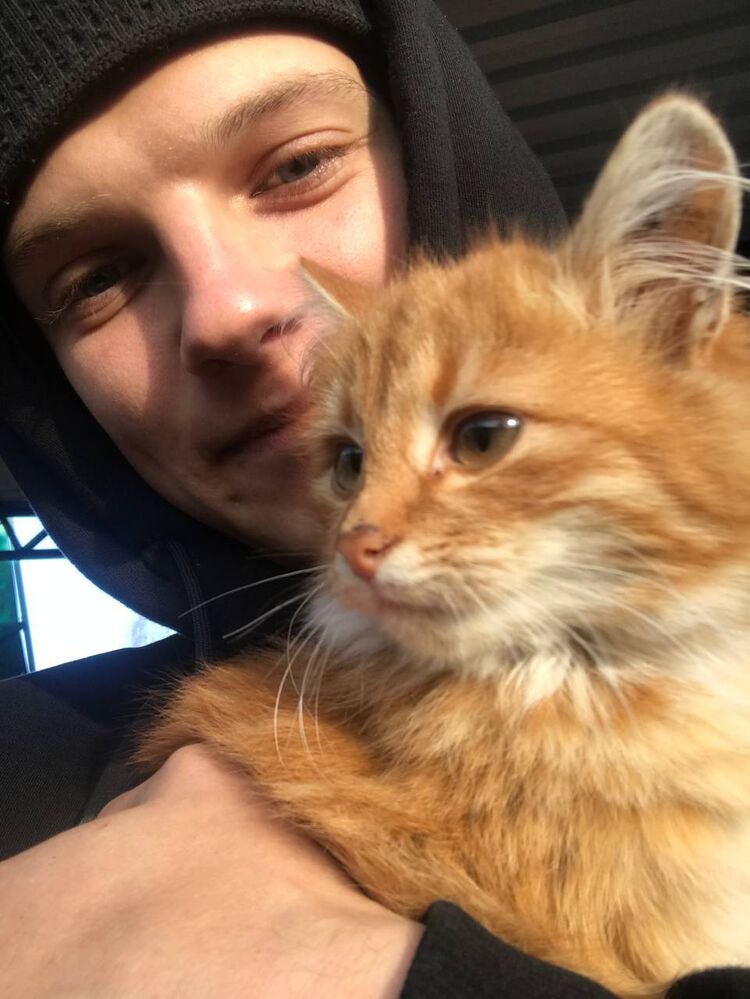 ���� 24860977 ����� �������, 25 ���, ���� ���������� � ����������