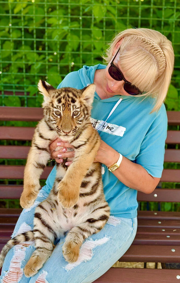 ���������� ����������, ���� ������� ������, 53 ����, ������������ ��� c�������� ���������