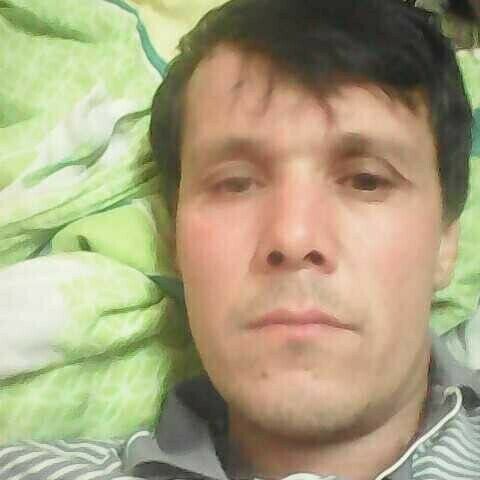 ���� 28938247 ������� �������, 49 ���, ���� ���������� � �������������