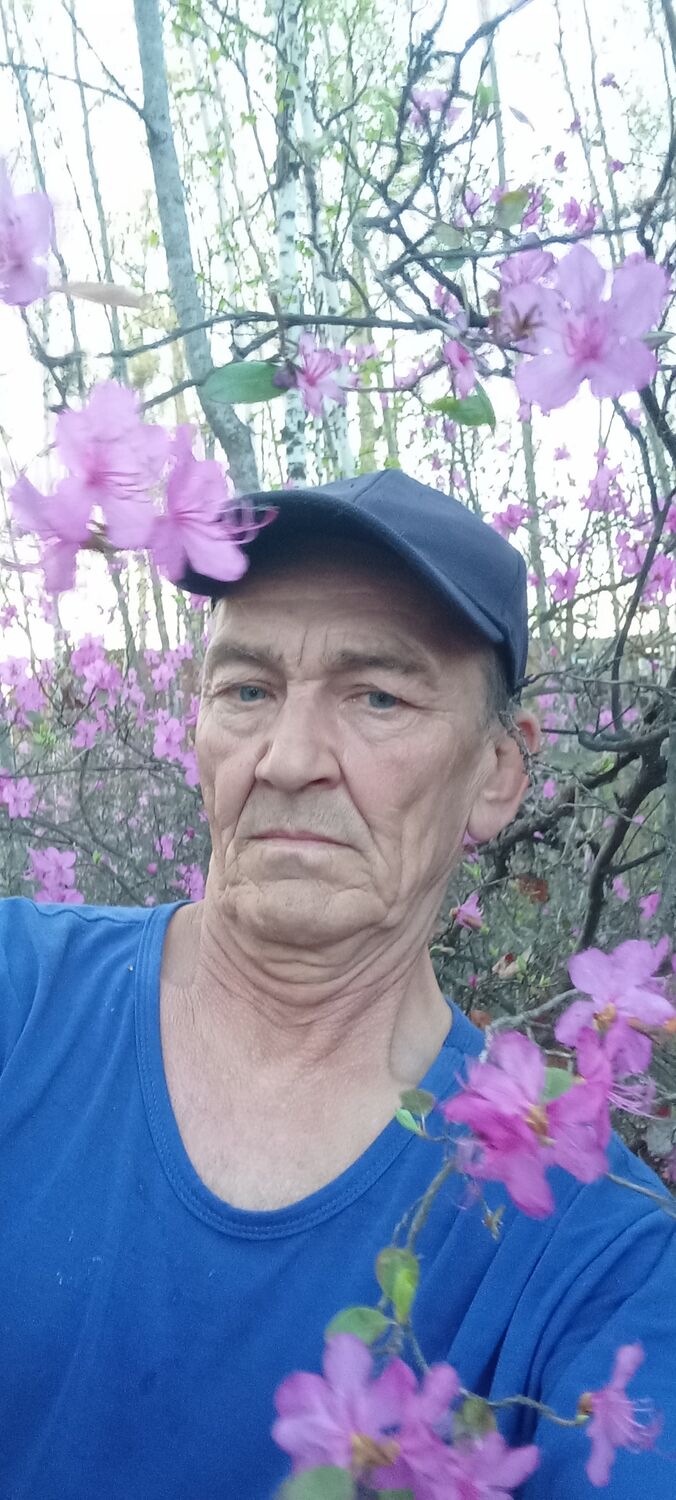  43863147  , 54 ,    