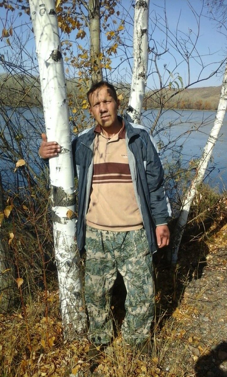  19498797  , 43 ,    -