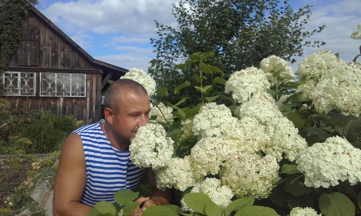  ,   , 46 ,     , c 