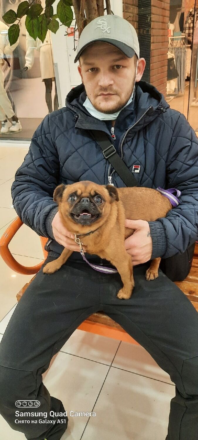 ���� 24379277 ������� Kirill, 33 ����, ���� ���������� � ���������