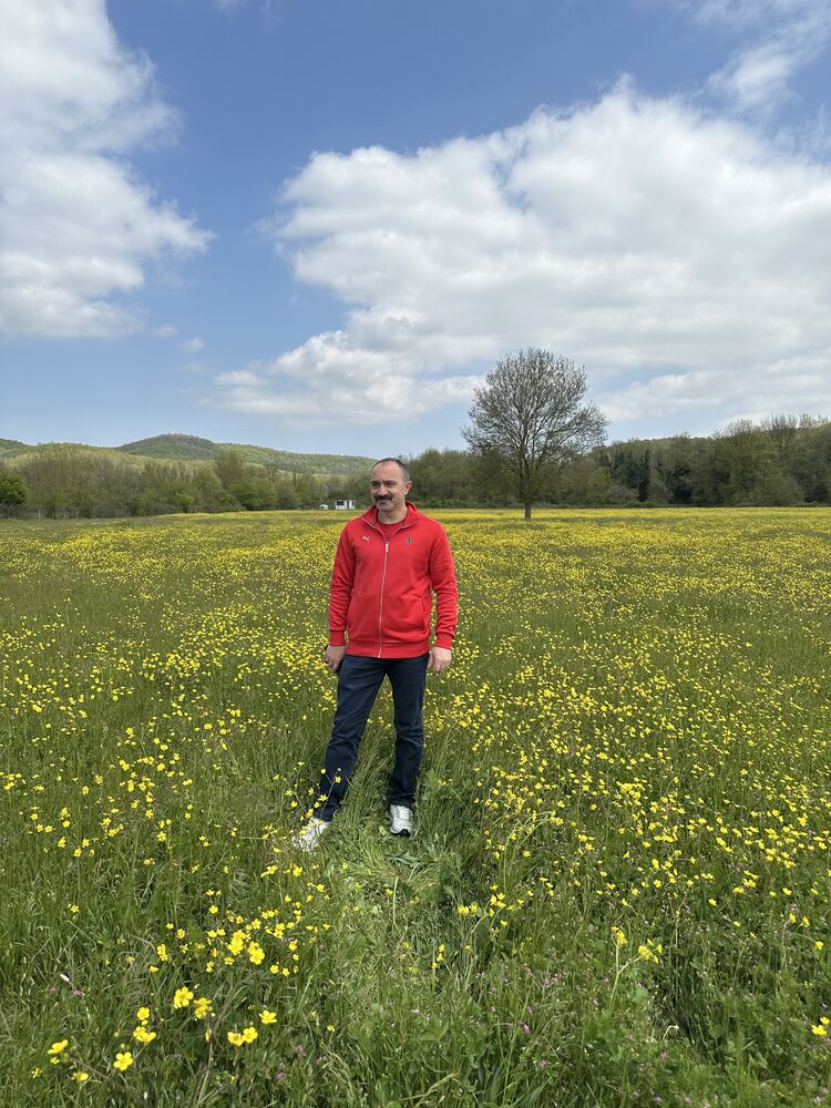 ���� 55493337 ������� �����, 36 ���, ���� ���������� � ��������