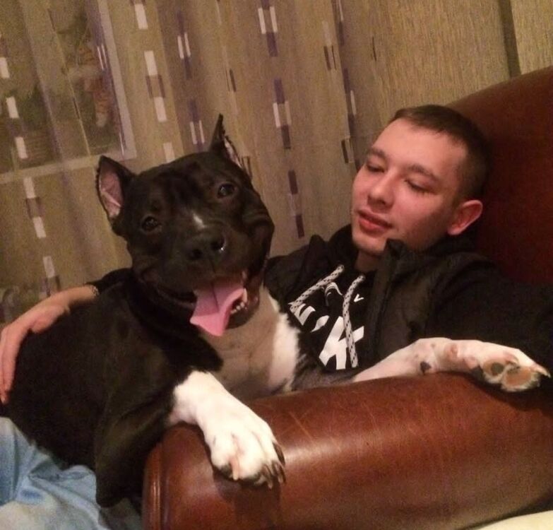 ���������� ����������, ���� ������� �����, 33 ����, ������������ ��� ������, ����� � ���������, c�������� ���������, ���������