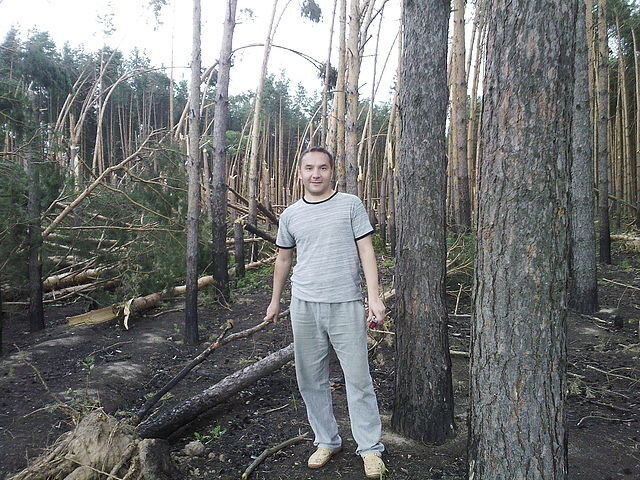 ���� 19773997 ������� �������, 45 ���, ���� ���������� � ���������