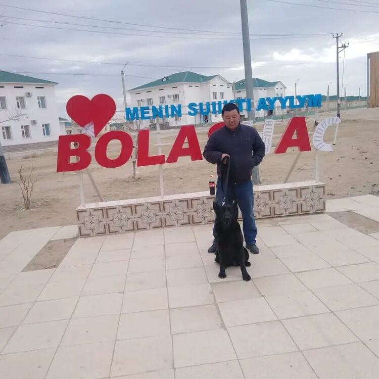  ,   Adai, 40 ,   ,   
