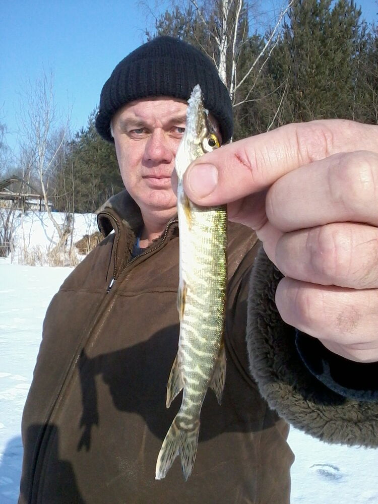 ���� 16047087 ������� Bill, 59 ���, ���� ���������� � ������ ���������