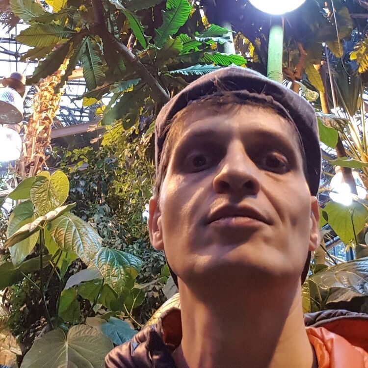 ���� 36984527 ������� �������, 45 ���, ���� ���������� � ������