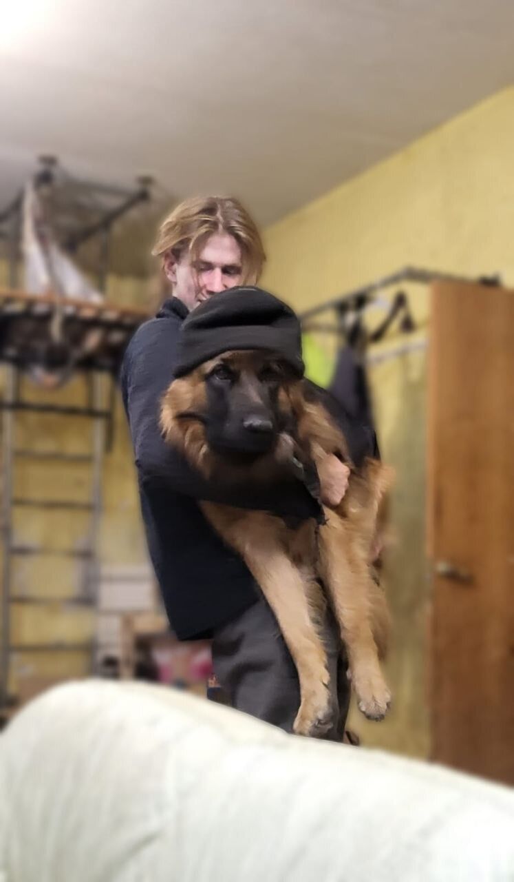  54586497  , 20 ,    -