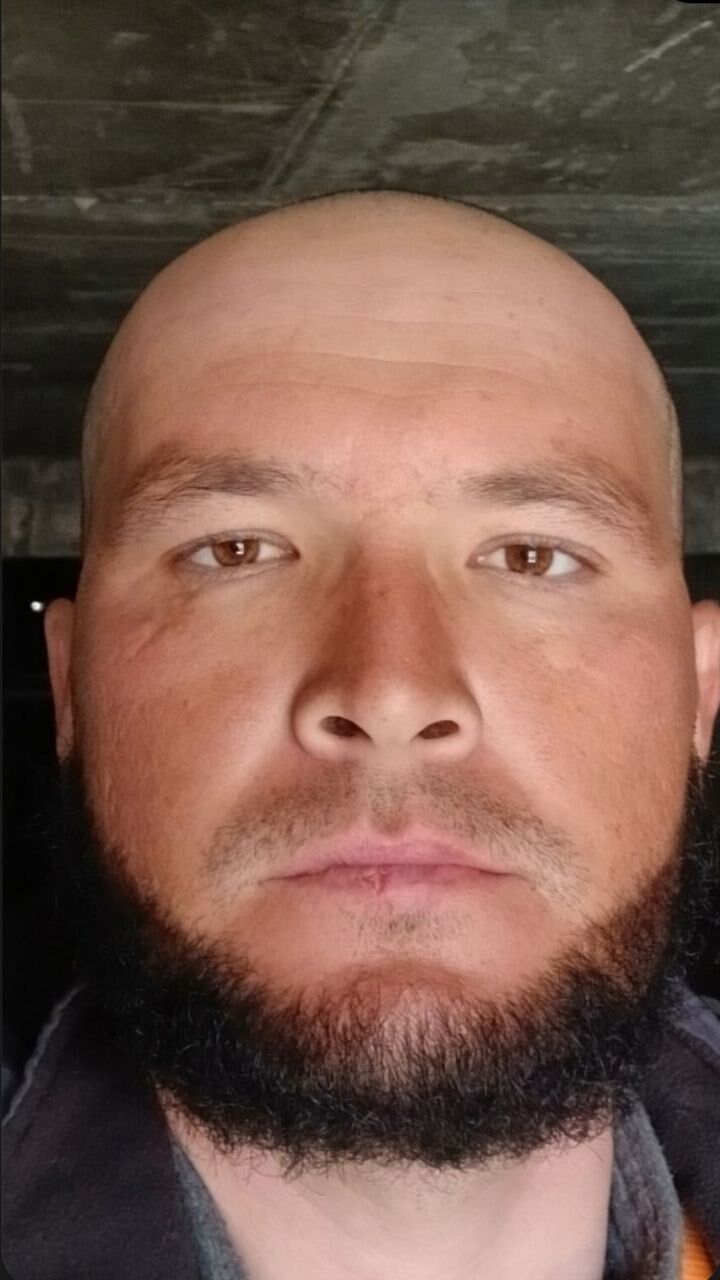 ���� 55624367 ������� ����, 29 ���, ���� ���������� � ����