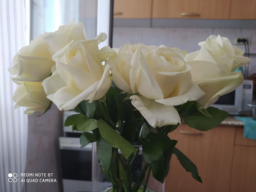 ���������� ������, ���� ������� �������, 47 ���, ������������ ��� ������, ����� � ���������, c�������� ���������, ���������