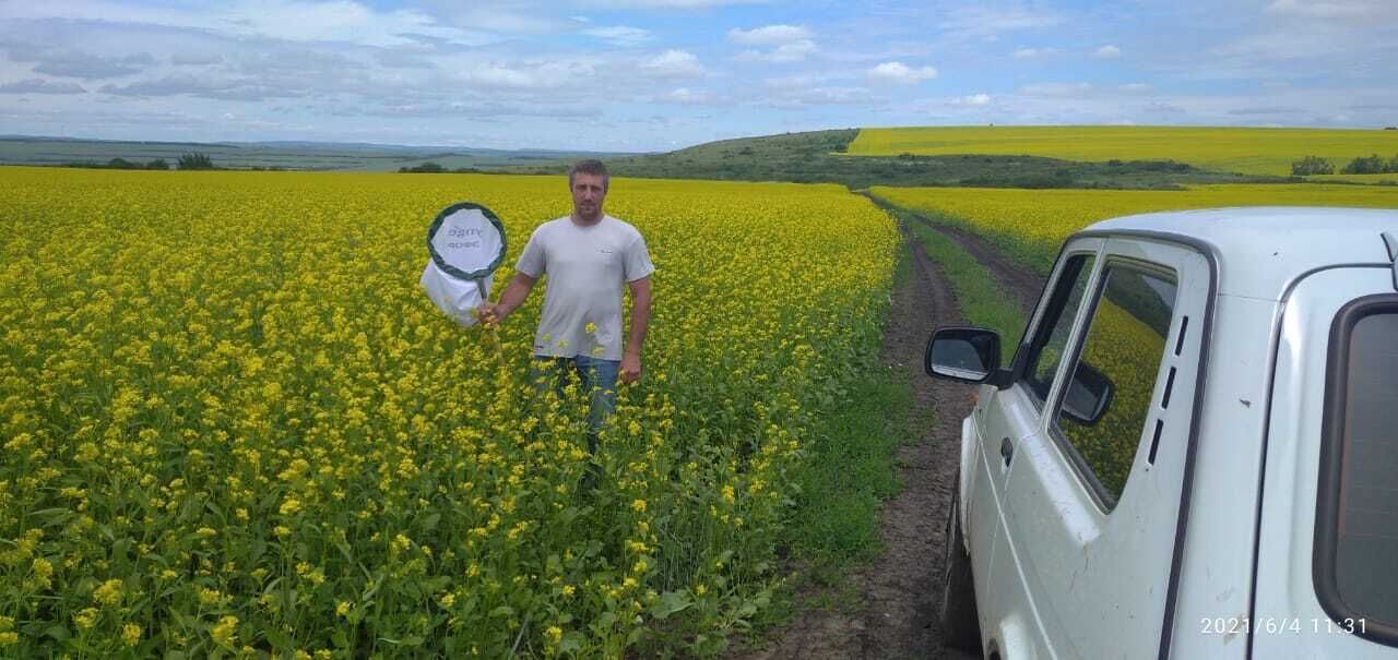 ���������� ������-��-����, ���� ������� ������, 44 ����, ������������ ��� ������, ����� � ���������