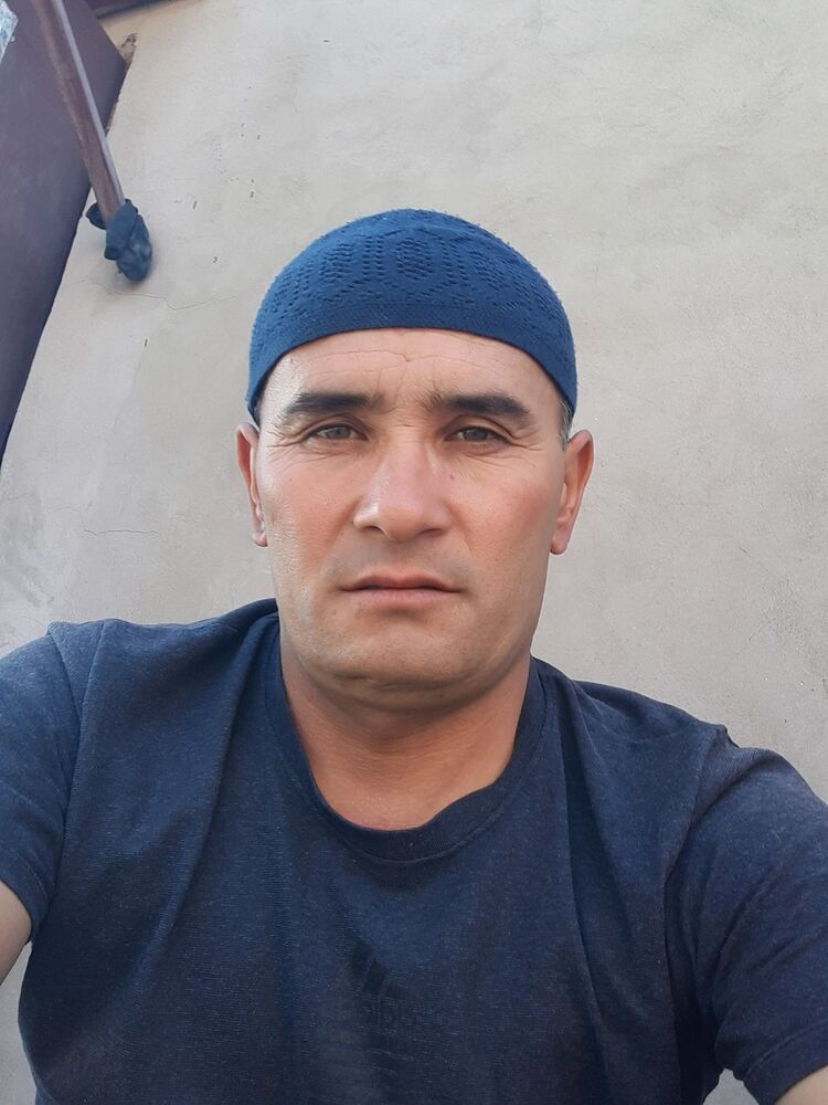  23598497  , 44 ,    