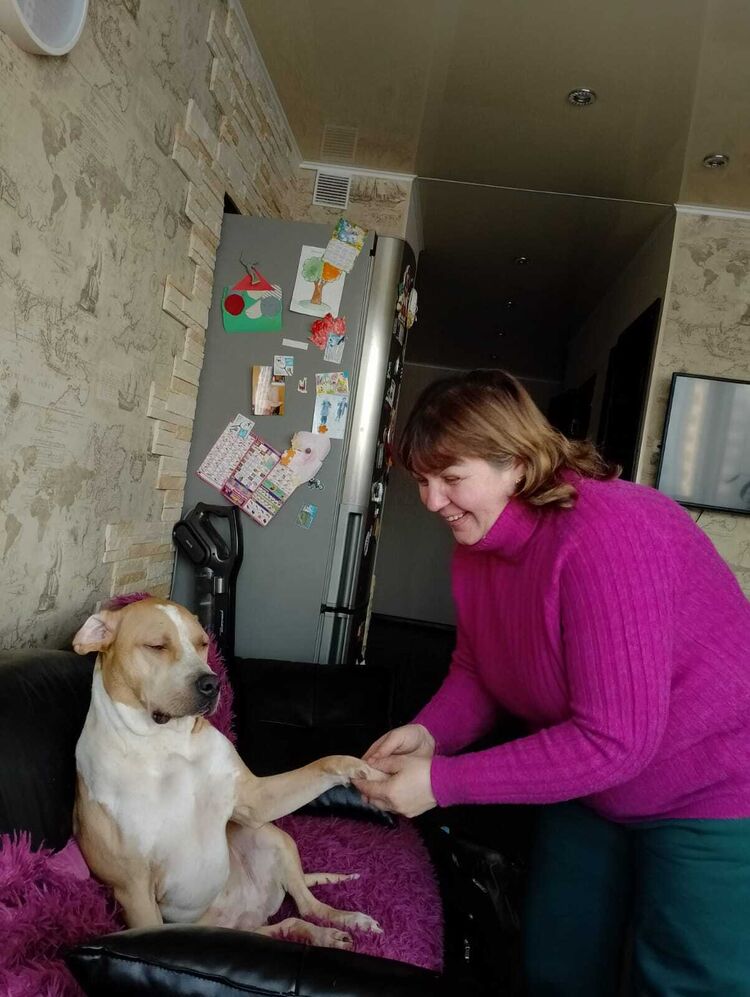 ���������� ������, ���� ������� ��������, 54 ����, ������������ ��� c�������� ���������