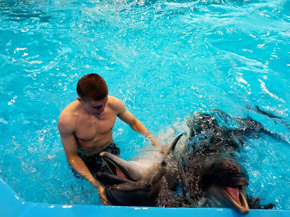 ���������� �����-���������, ���� ������� ������, 26 ���, ������������ ��� ������