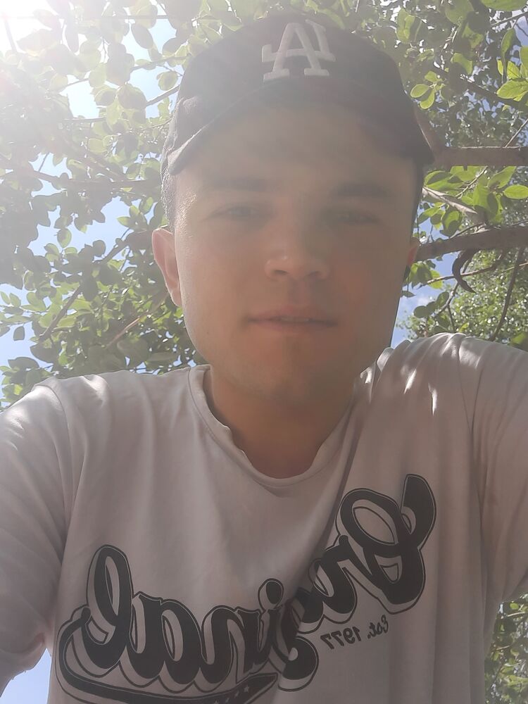  29482877  , 26 ,    