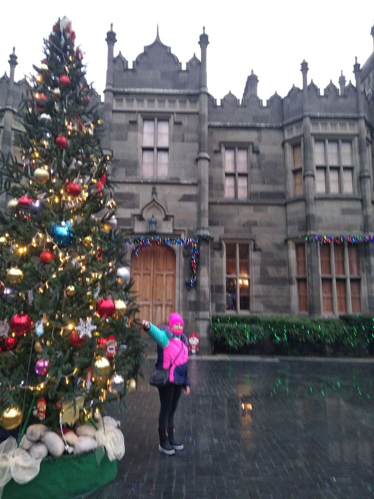 ���������� �����������, ���� ������� ����, 56 ���, ������������ ��� c�������� ���������