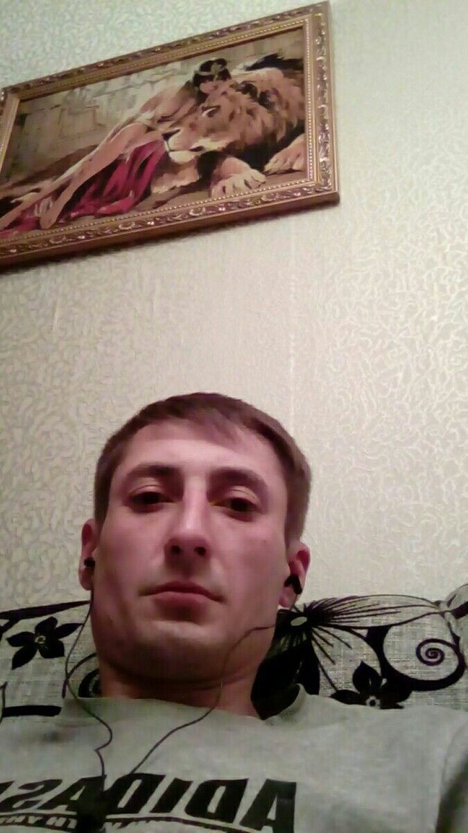 ���� 22336167 ������� �������, 36 ���, ���� ���������� � ���������