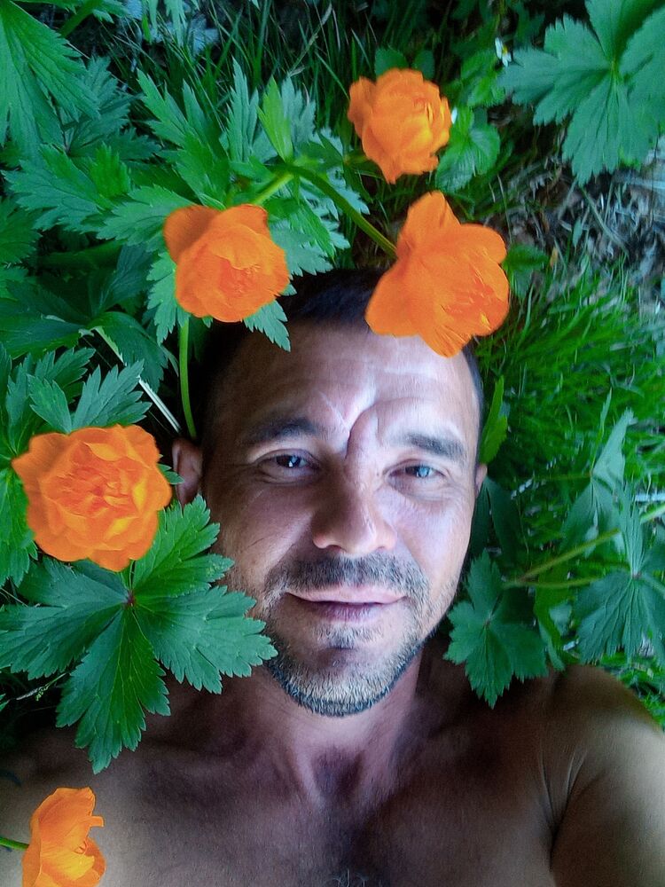  35388457  , 43 ,    