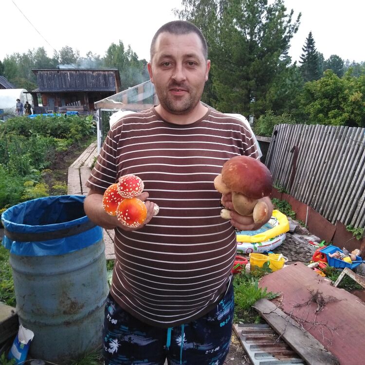  ,   , 47 ,   