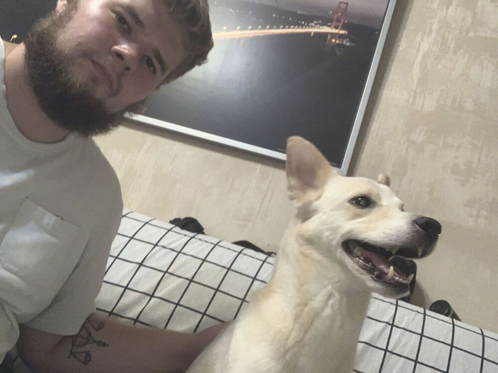 ���������� ������, ���� ������� Mishana, 32 ����, ������������ ��� ������, ����� � ���������, c�������� ���������, ���������