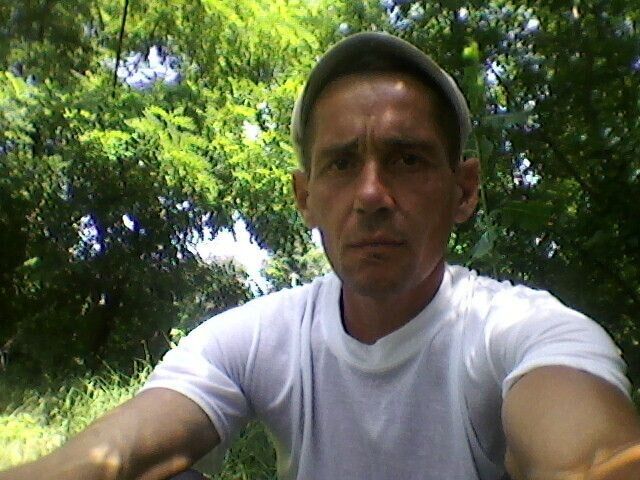  33854447  , 41 ,    