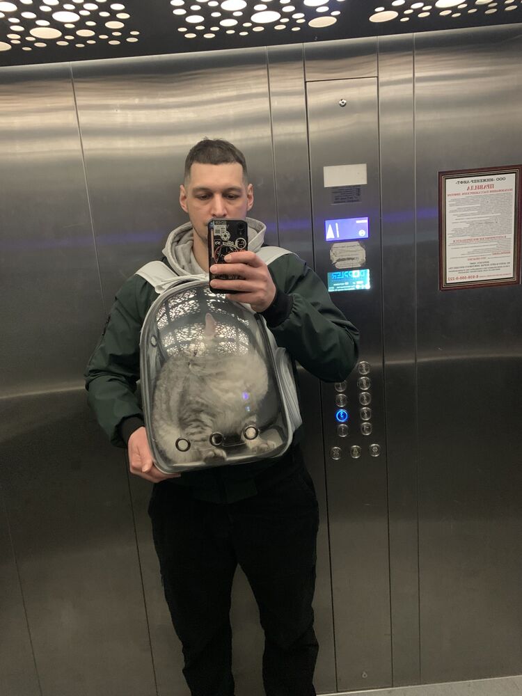 ���� 56256117 ������� �����, 34 ����, ���� ���������� � ����������