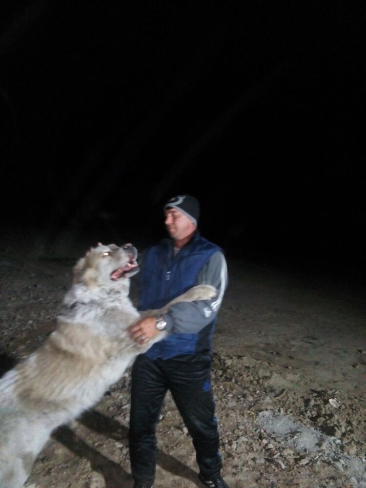  9520237  Oleg, 48 ,    