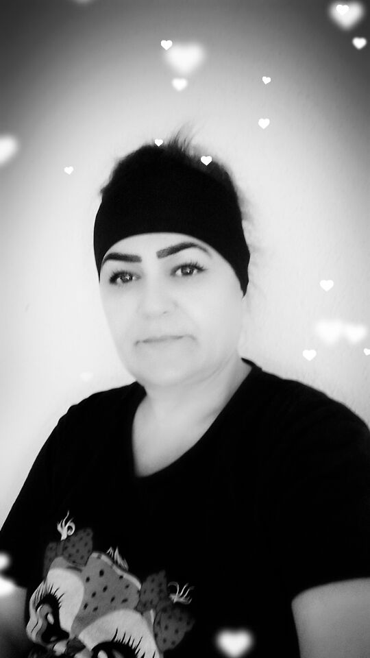  45980127  , 49 ,    -